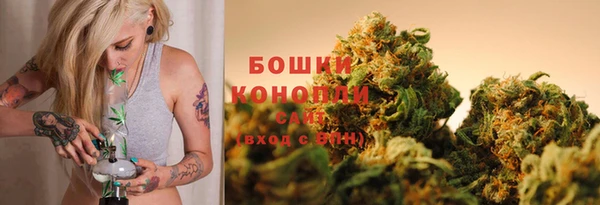 крисы Абдулино