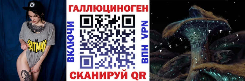 где найти   Иваново  Галлюциногенные грибы прущие грибы 